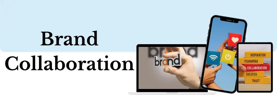 Best Brand collaboration services fogdog